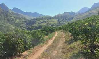 Imagem 3: Venda-se está fazenda de 137 alqueires no município de Mimoso do Sul/ES
