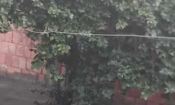 Imagem 2: Casa a venda Casa com 2 dormitórios