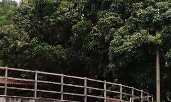 Imagem 6: Fazenda/Sítio/Chácara para venda com 192000 metros quadrados com 3 quartos