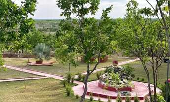 Imagem 6: Chácara na estrada do distrito da Guia com 2 hectares com excelente localização