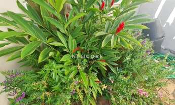 Imagem 4: Casa em Rua Egle Moretti Belintani - Parque das Flores - Campinas/SP