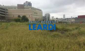 Imagem: AREA - ANÁLIA FRANCO - SP