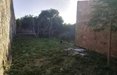 Imagem 3: Terreno no santo Antônio na rua do lado de Alaíde