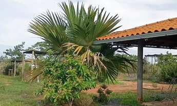 Imagem 2: Sitio 20.600 m² em Construção /20 minutos major Prates...Aceita veículo ou imóvel.