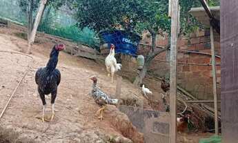 Imagem 5: Vendo casa Casa com 1 dormitório