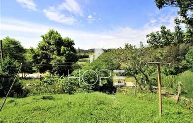 Imagem 5: Chácara Completa à Venda 3.8 Alqueres Paulista e 4 Minas de Água Agudos do Sul PR