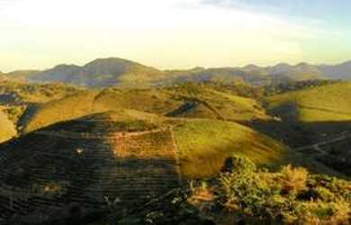 Imagem 2: Sítio com nascente em Guaçuí, produzindo ao lado da cidade