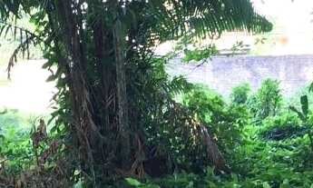 Imagem 2: Terreno - Guanabara