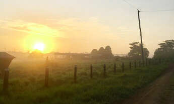 Imagem 5: Fazenda PA Marajó 100 mil hect