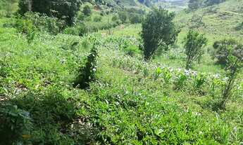 Imagem 5: FAZENDA TERRENO EM DIVINO CARANGOLA