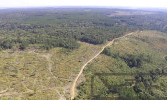 Imagem 4: Aceita permuta! Fazenda / sítio com venda por R$37.000.000
