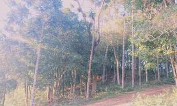 Imagem 2: Chácara com 1 dormitório à venda, 22000 m² por R$ 290.000,00 - Zona Rural - Agudos do Sul