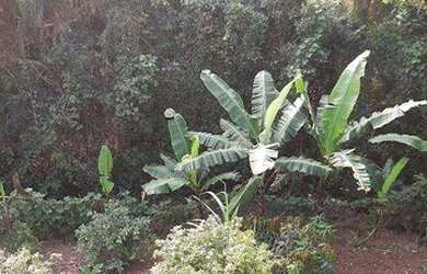 Imagem 7: Sobrado com 2 dormitórios à venda, 15 m² por R$ 265.000 - Parque das Cerejeiras - São Paul