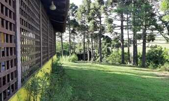 Imagem 4: CHÁCARA 5 ALQUEIRES NA LAPA - PR