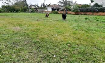 Imagem 3: Terreno com escritura publica, viabilidade ARM 3,5