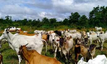 Imagem: R$ 2 milhões de reais fazenda pronta há