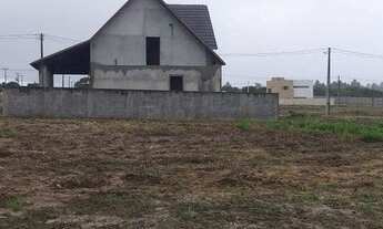 Imagem 7: Bosque do Coqueiral