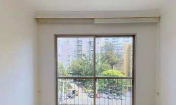Imagem 2: Apartamento para venda lapa, Vila Ipojuca - São Paulo - SP