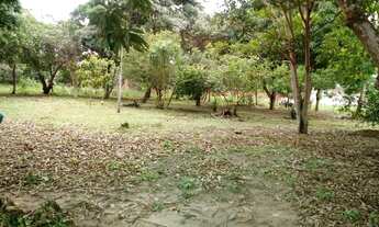 Imagem 5: Oportunidade de Sitio no Laranjal!