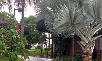 Imagem 3: Bosque do Coqueiral