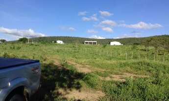 Imagem 5: Fazenda com 150 hectares em cachoeira do sapo na BR.304