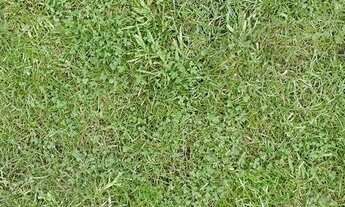 Imagem 3: Lote/Terreno para venda com 300 metros quadrados em Vila Carolina - São Paulo - SP