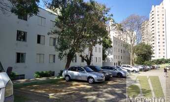 Imagem 3: São Paulo - Apartamento Padrão - Jardim Jaqueline