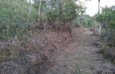 Imagem 7: Fazenda com 80.000m² a 4km do Centro de Valença-BA Margem da BA 542