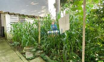 Imagem 5: CASA TÉRREA COM TERRENO DE 385M - ÓTIMA LOCALIZAÇÃO