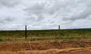 Imagem 9: 600 alqueires com 300 alqueires de abertura no Pará dupla aptidão