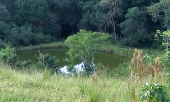 Imagem 6: Sítio 15 alqueires no Bairro dos Arrudas em Itapetininga-SP!!!!