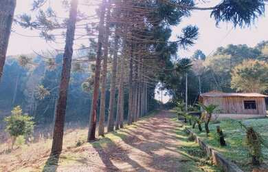 Imagem 6: Chácara com 1 dormitório à venda, 22000 m² por R$ 290.000,00 - Zona Rural - Agudos do Sul