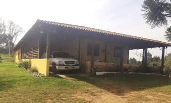 Imagem 3: CHÁCARA 5 ALQUEIRES NA LAPA - PR