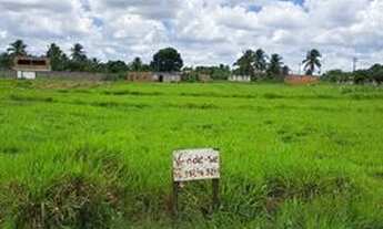 Imagem 3: Vende-se terreno