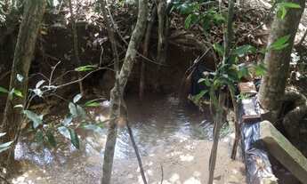 Imagem 6: Vendo chácara Chácara com venda por R$250.000