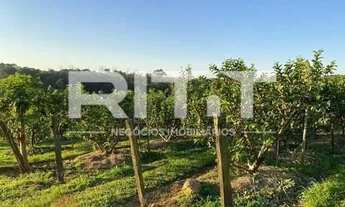 Imagem 3: Casa - Reforma Agrária - Valinhos