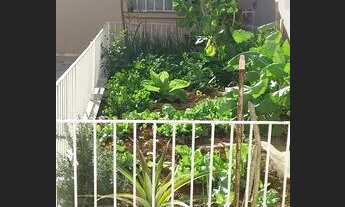 Imagem 6: Casa em jaguariaiva pr 3 quartos