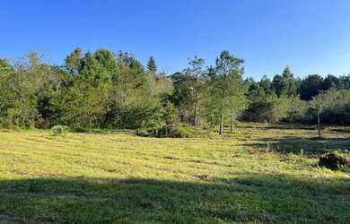 Imagem 10: Sítio Plano E Com Nascente Para Fazer Açude. ROB:364