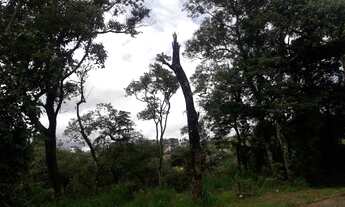 Imagem 2: Terreno no km 40 da rodovia Castelo Branco em condominio