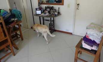 Imagem 2: 3 QUARTOS REFORMADO NA RUA MACEDO SOBRINHO, OPORTUNIDADE