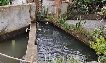 Imagem 7: Casa à venda, 3 quartos, sendo 1 suíte, Bairro Ilha da Figueira, Jaraguá do Sul/ SC
