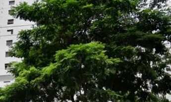 Imagem 2: APARTAMENTO - VILA OLÍMPIA - SP