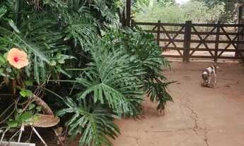 Imagem: Chácara 4.800 M².15 min Major Prates.Permuta