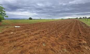 Imagem 4: LINDA CHÁCARA EM SOBRADINHO-DF
