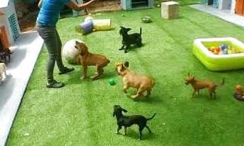 Imagem 6: Aprt 1 quarto com vista baia ! Farol da guanabara , ultimo lançamento do ano no Porto !