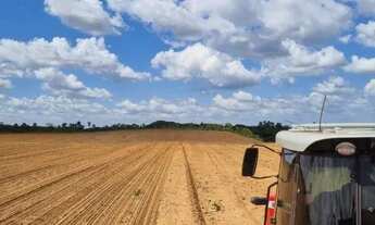 Imagem: Fazenda Goiás Cavalcante
