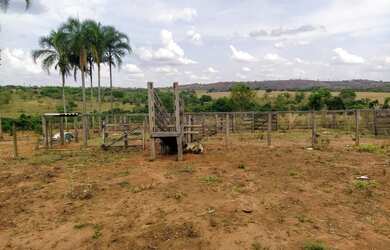 Imagem 2: Chácara de 7.32 alq. Em professor Jamil Goiás 2.200.000
