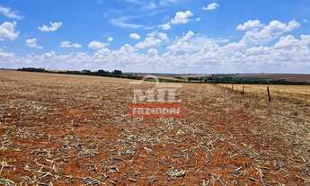 Imagem 7: Fazenda 13 alqueires (62 hectares) Anápolis - GO
