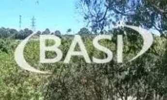 Imagem 4: Seu Negócio em Destaque: Terreno de Alto Potencial na Estrada da Ribeira!