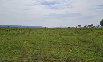 Imagem 4: Fazenda de 119 alqueires em Itarumã - GO